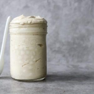 Homemade Vegan Mayonnaise (sugar-free, gluten-free)