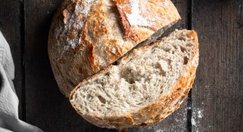 No-Knead Whole Wheat Bread