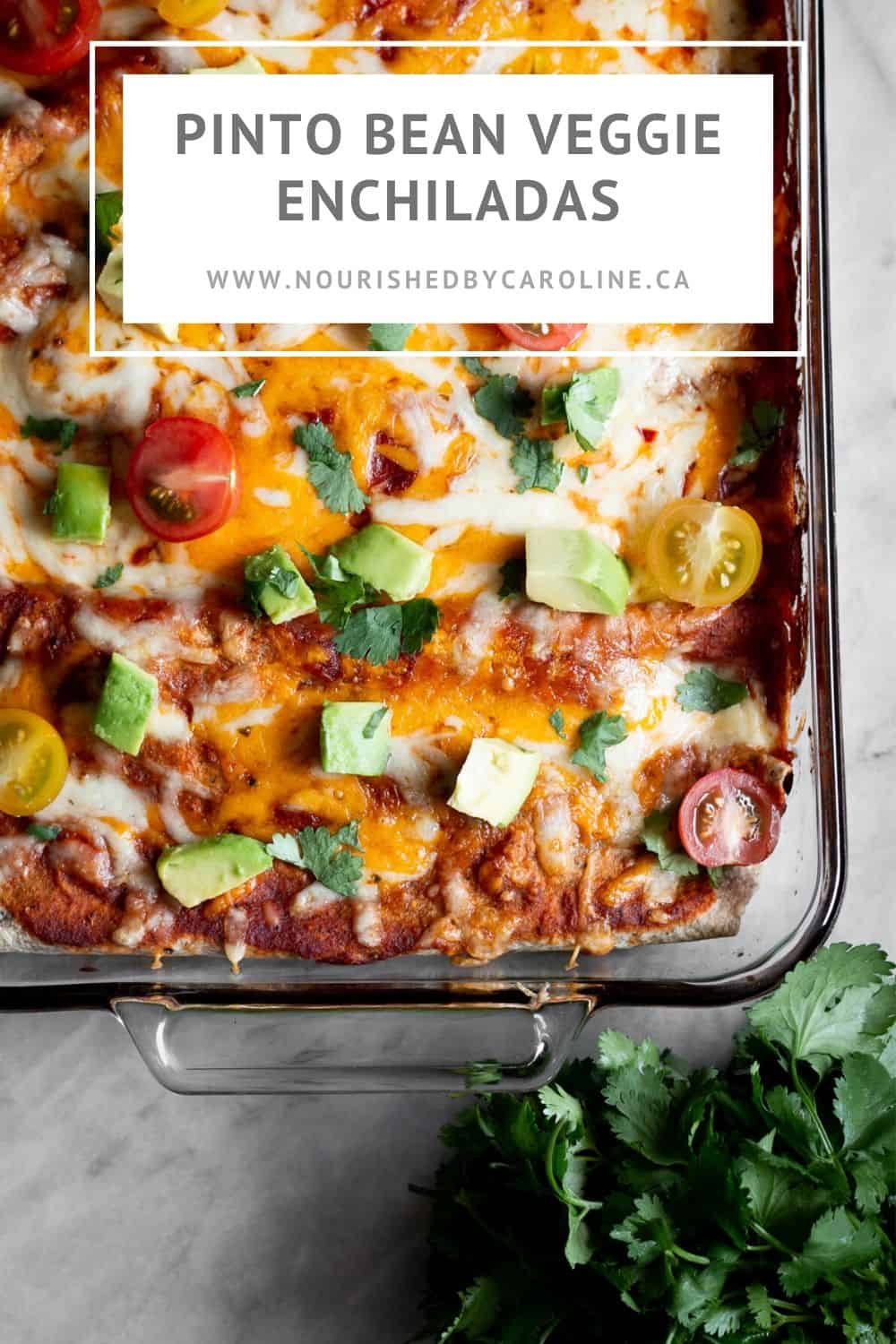 Pinto Bean Veggie Enchiladas + Free Recipe Bundle! Nourished