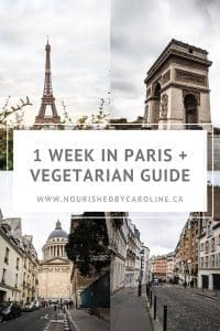 Paris guide pin