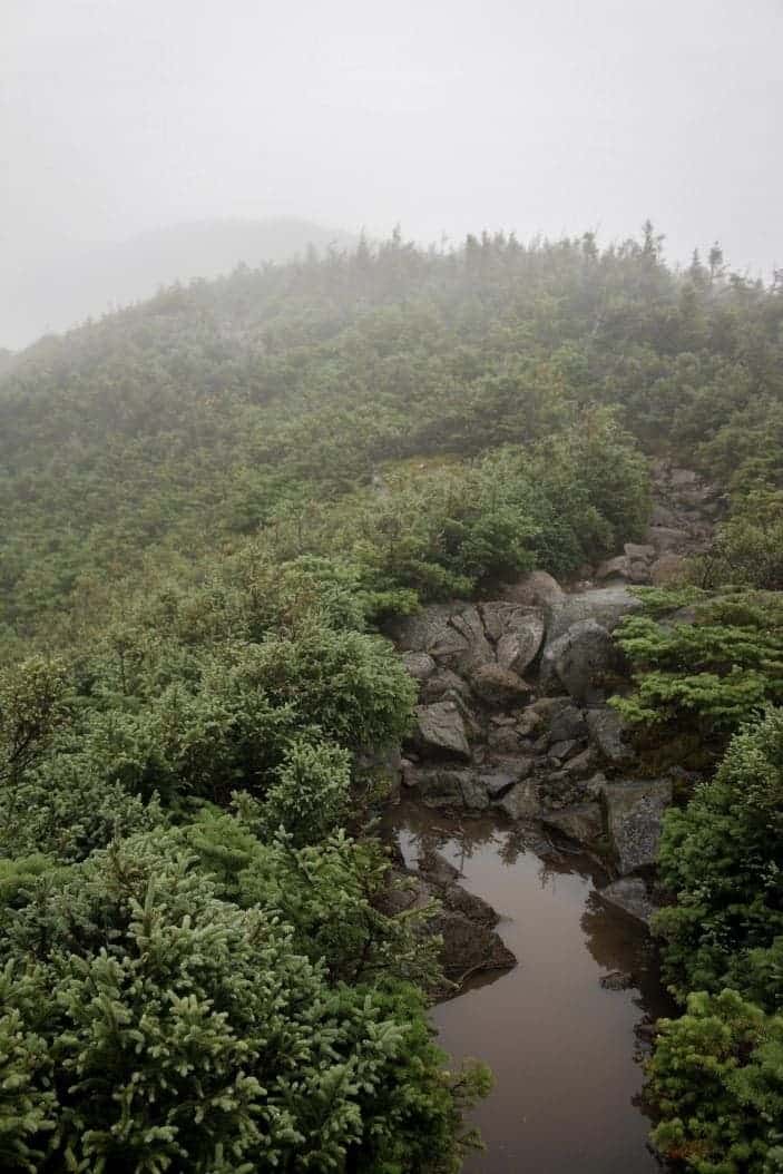 Gaspésie