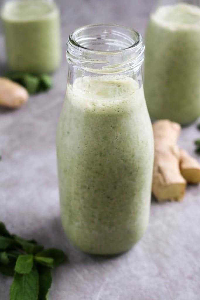 Healthy Digestion Smoothie (vegan, refined sugar-free) - Unsweetened Caroline-0550