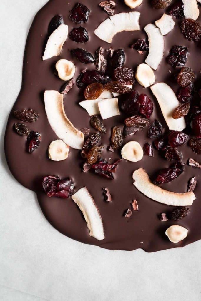 fruit-sweetened chocolate bark closeup