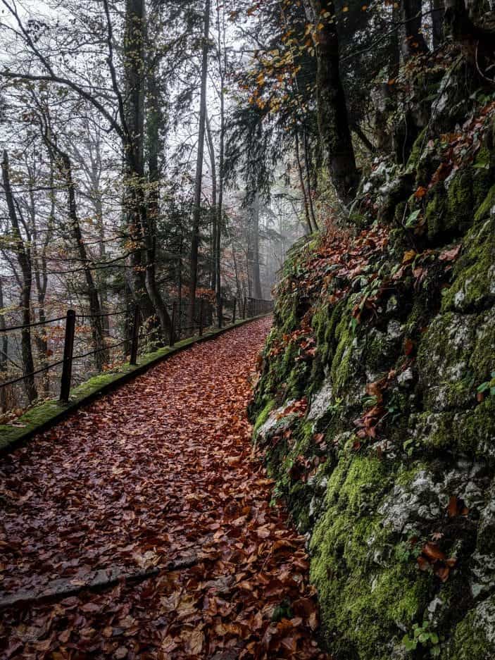 Hallstatt trail