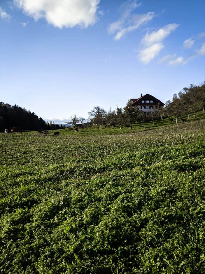 1 Week in Switzerland - swiss farm