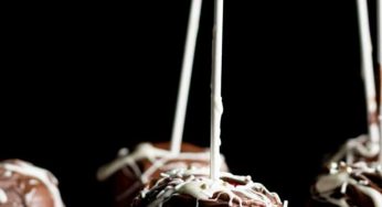 Chocolate Covered Apples – Our Wedding Favors