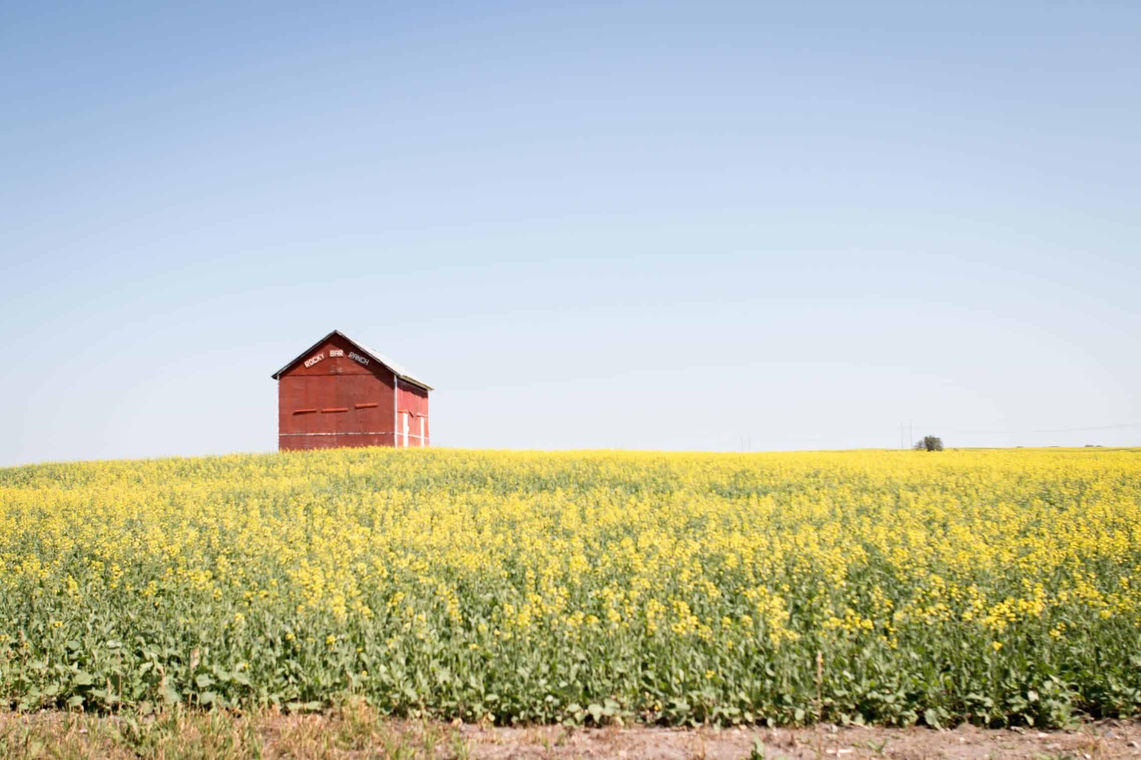 Our Road Trip Across Canada - Part 2