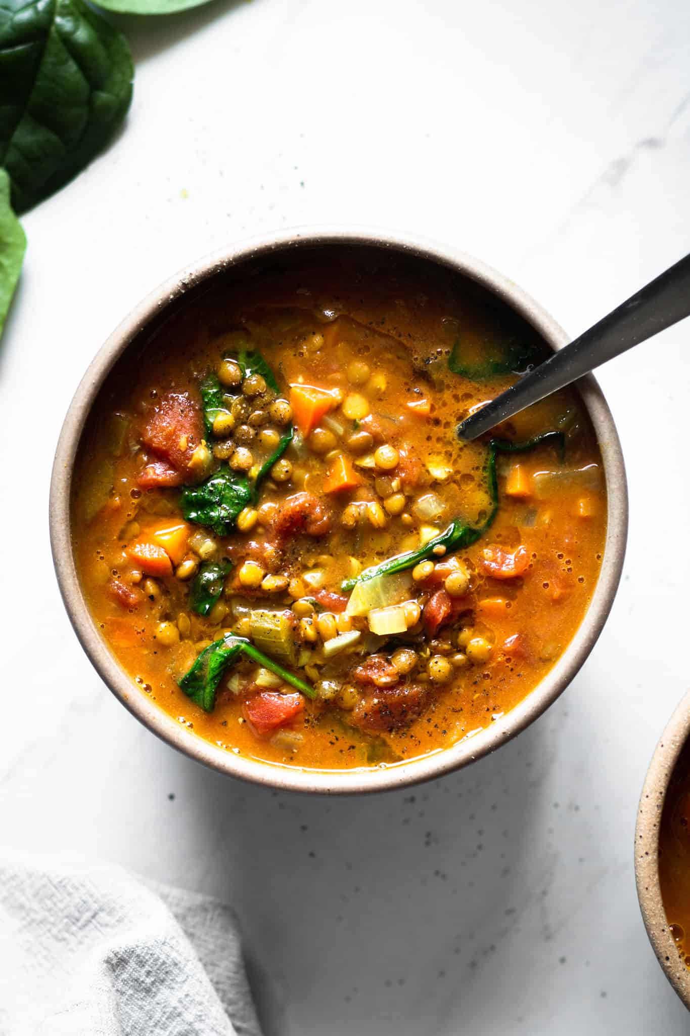 lentil soup - 132 vegan recipes to start the new year