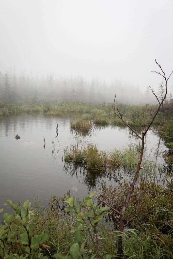 Gaspésie