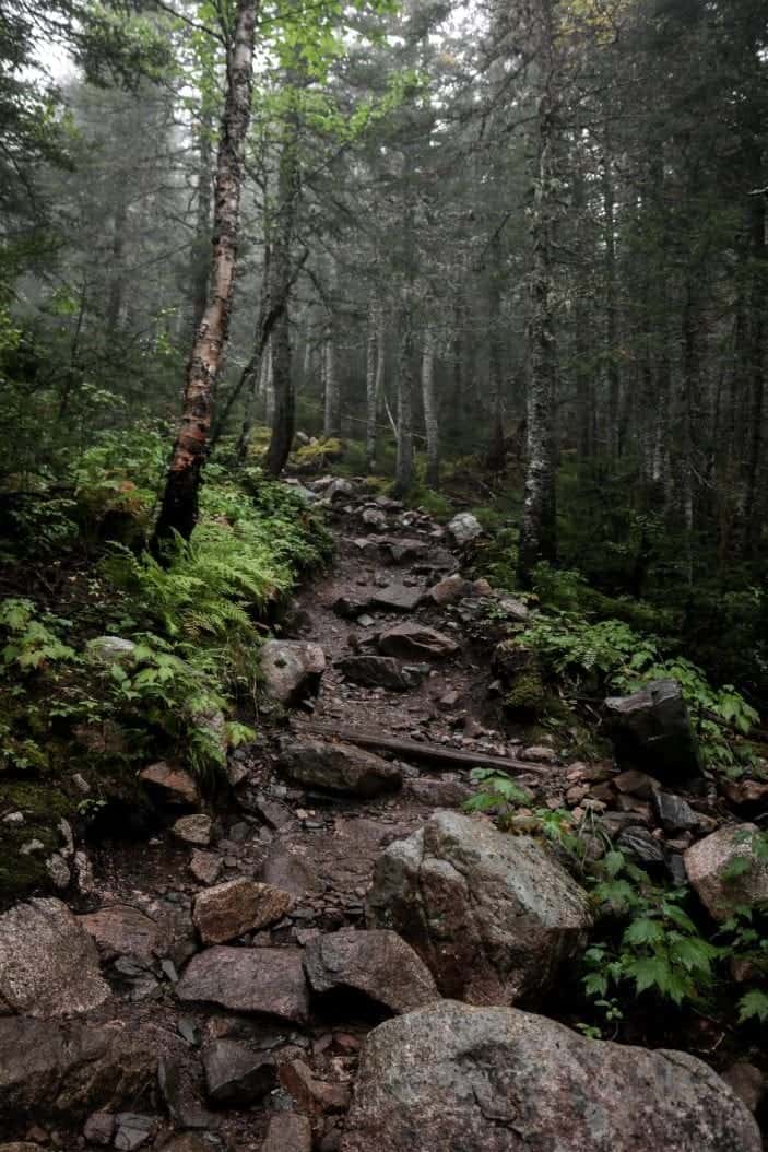 Gaspésie