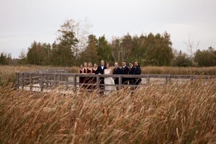 wedding party in a field