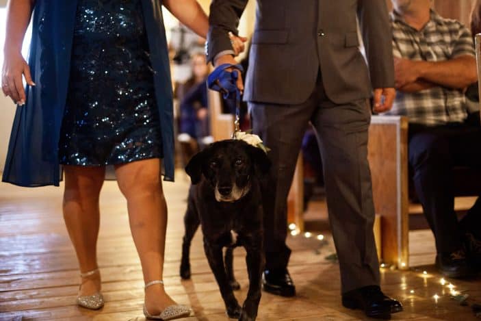 parents of the bride with dog