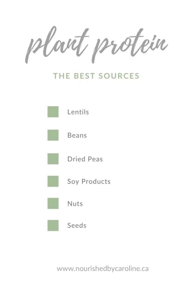 plant protein list pin