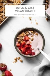 vegan yogurt pin