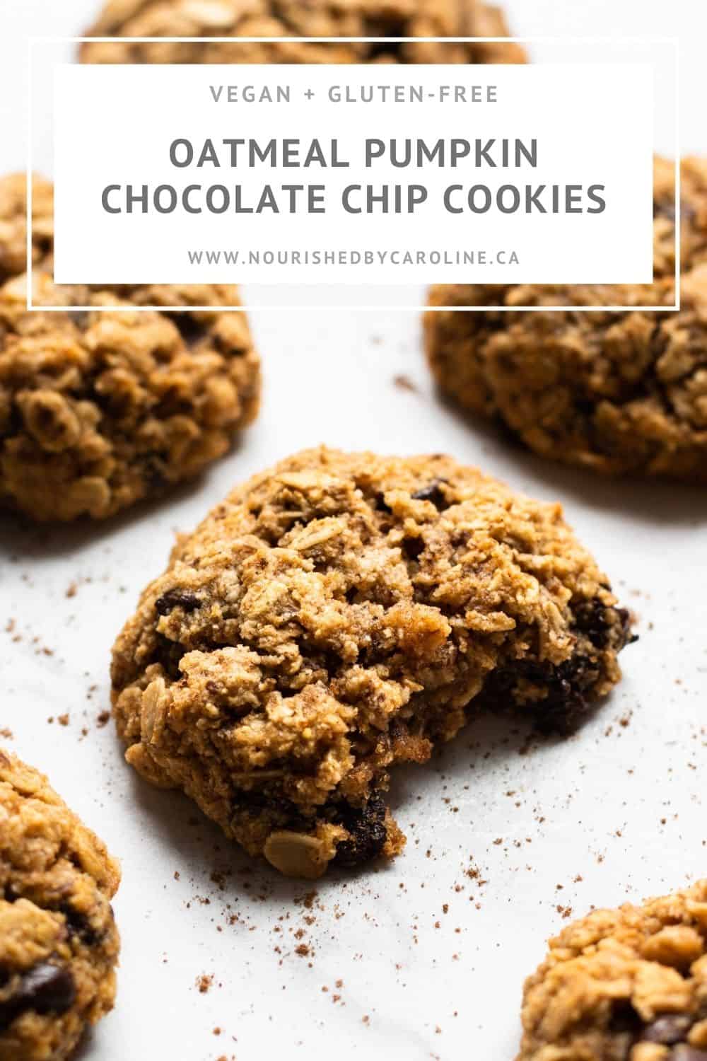 Oatmeal Pumpkin Chocolate Chip Cookies (Vegan + Gluten-Free ...