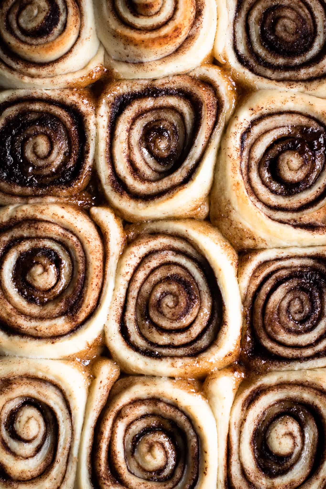 Cinnamon rolls closeup