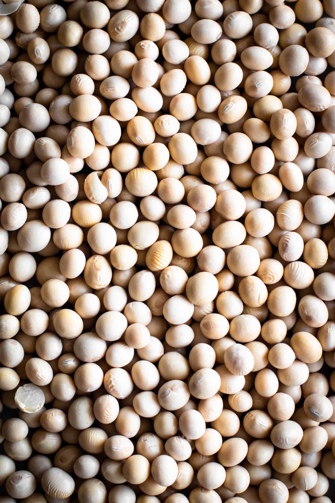 should you avoid soy - soybeans
