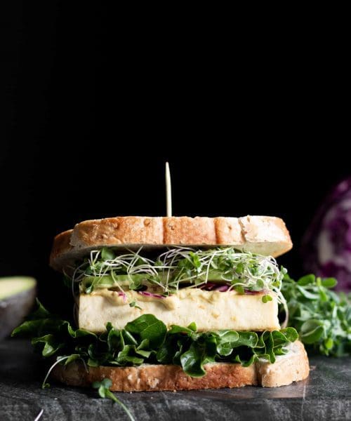 tofu sandwich from the side