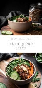 lentil quinoa salad long pin
