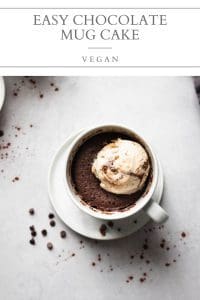 vegan chocolate mug cake pin