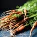 bunch of carrots