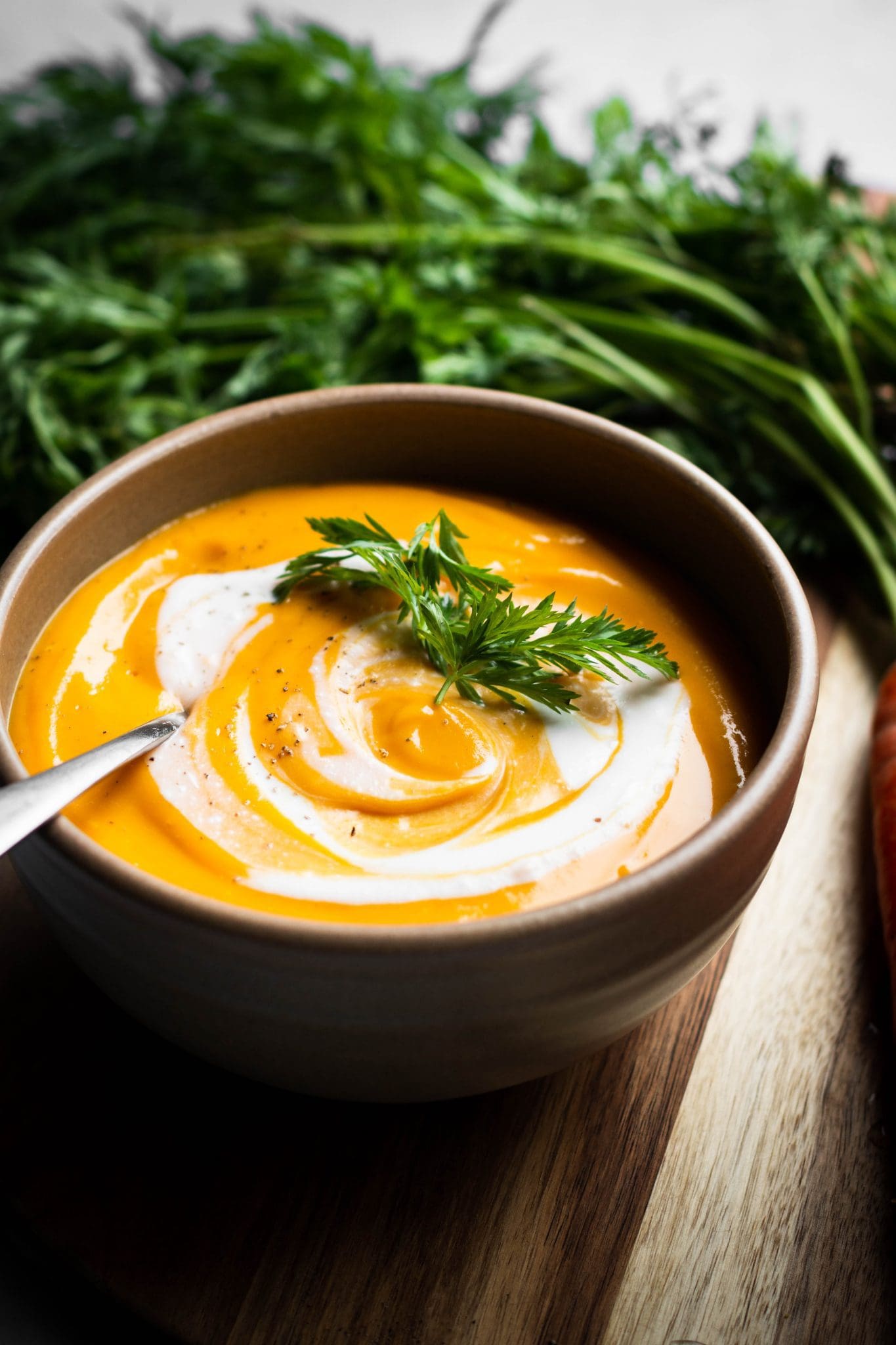 creamy carrot lentil soup from the side