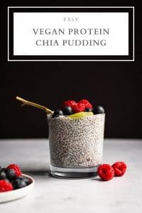 vegan protein chia pudding pin