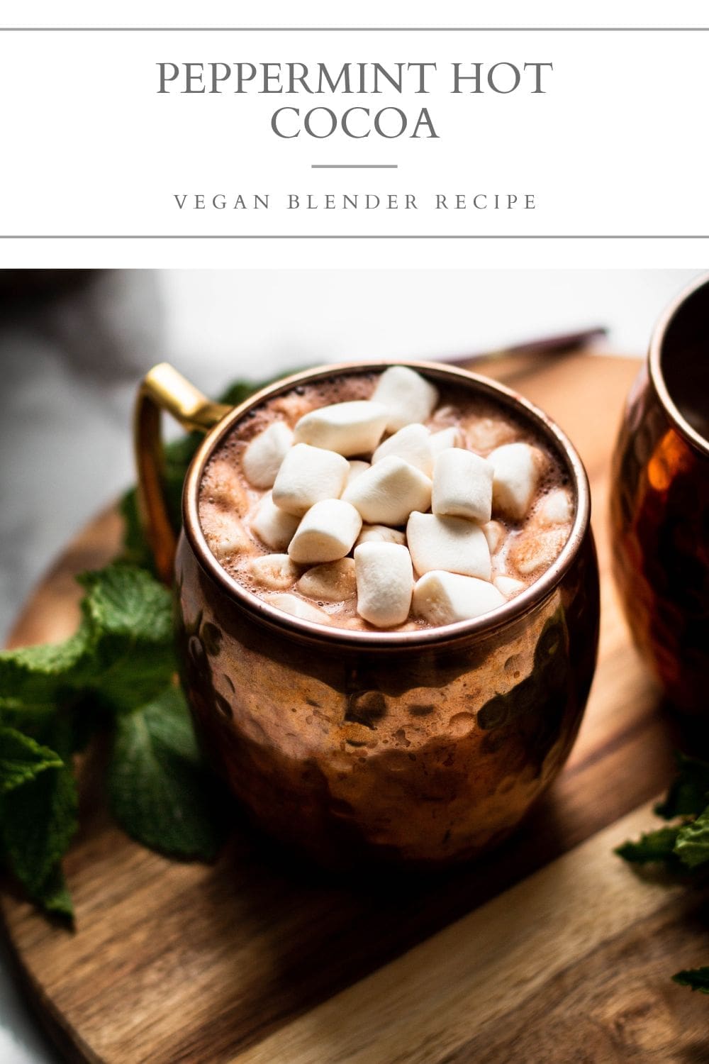 Vegan Peppermint Hot Cocoa - Nourished