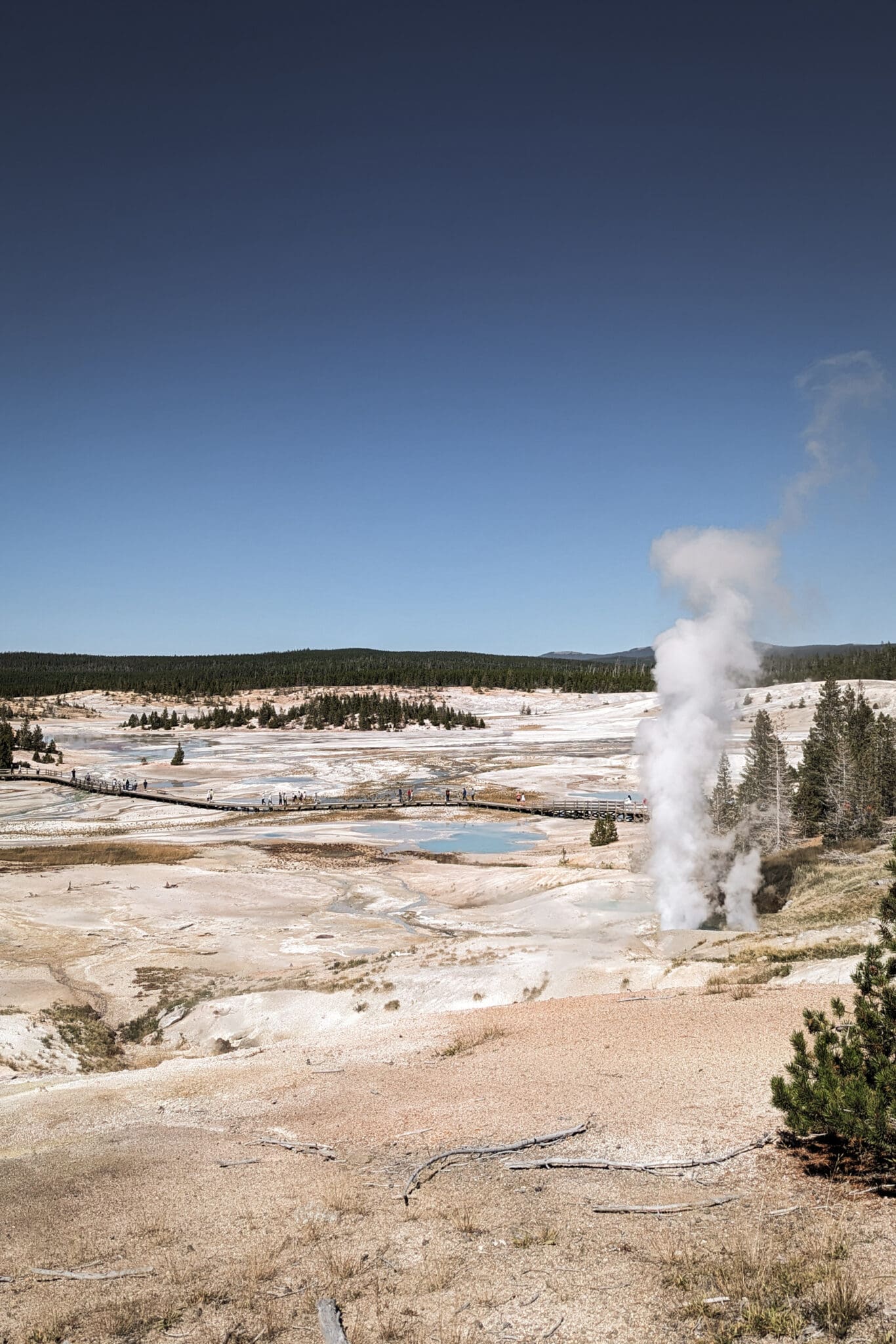 View of Norris Bassin, Yellowstone National Park