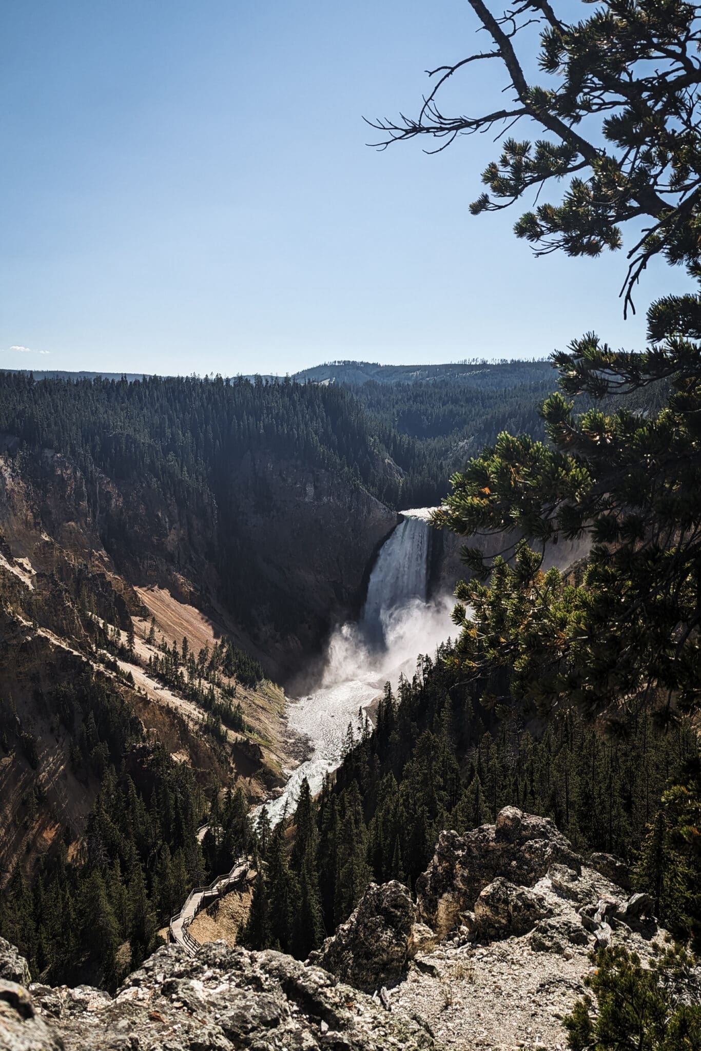 View of Lower Falls, Yellowstone National Park