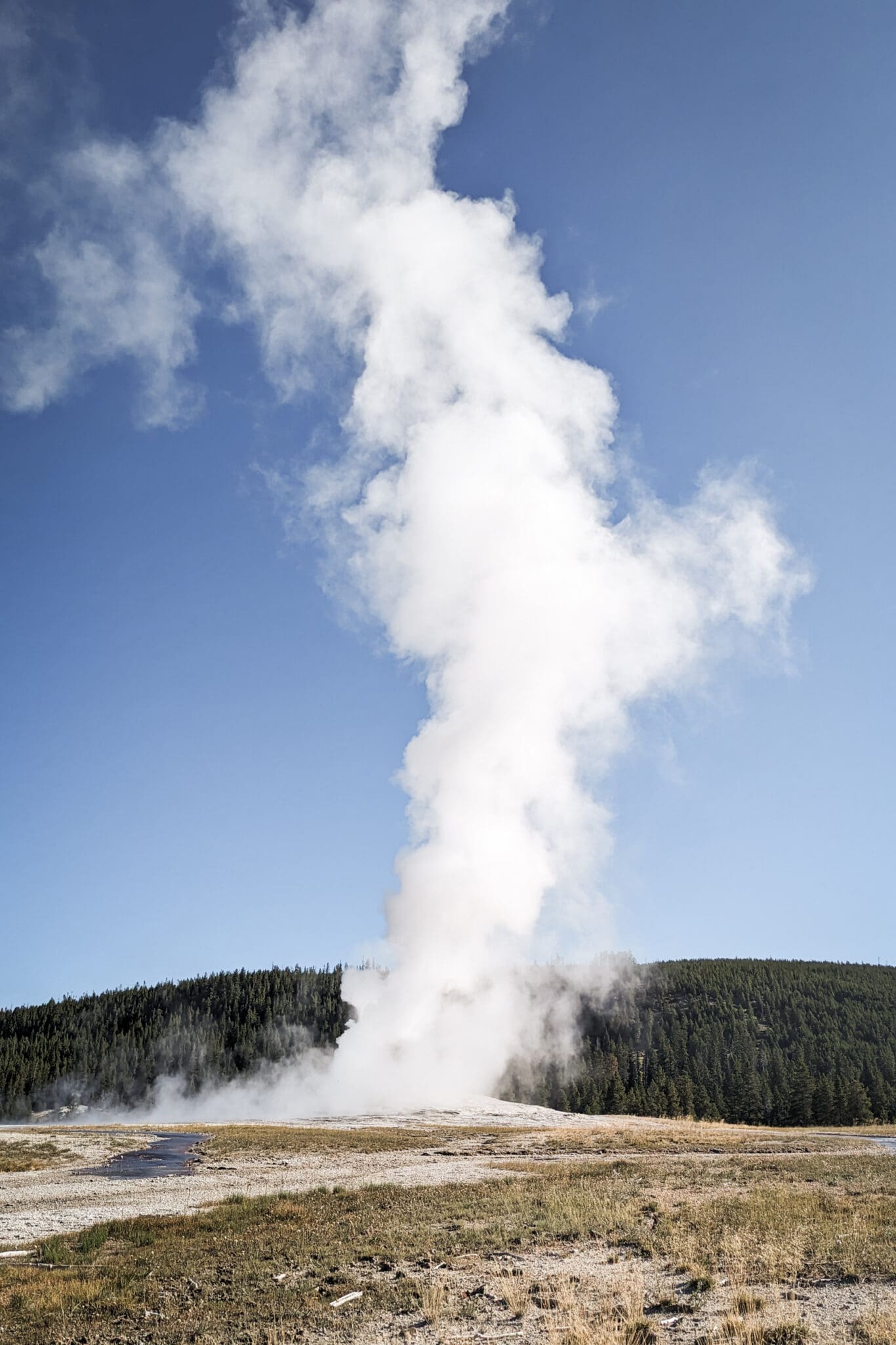 Old Faithful Geyser