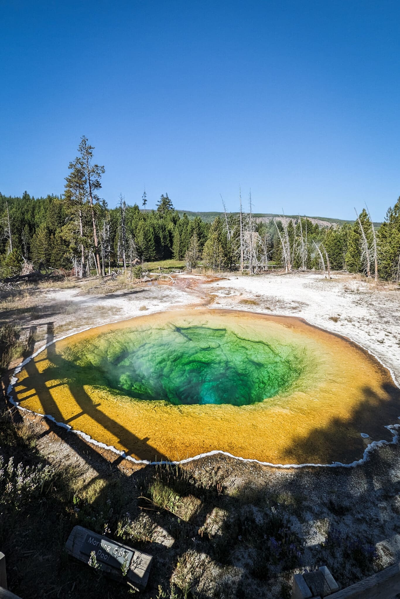 Morning Glory Pool in Yellowstone National Park