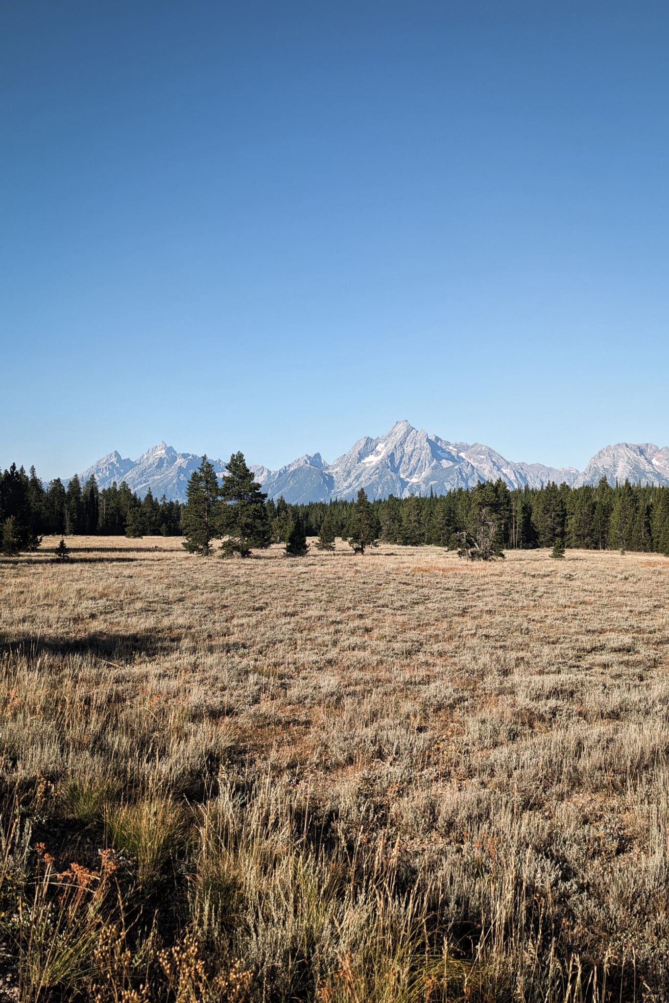 View of Grand Teton Mountains