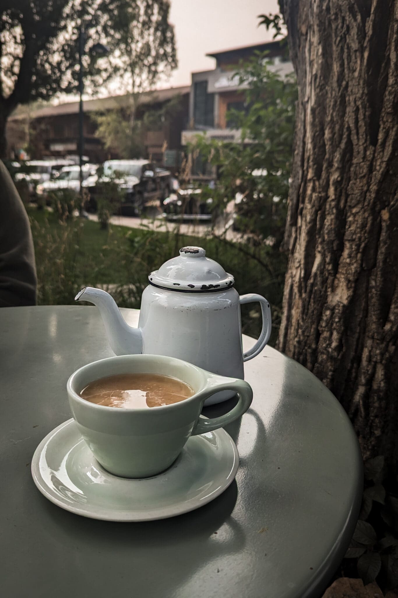 Cup of tea on a table in front of a tree