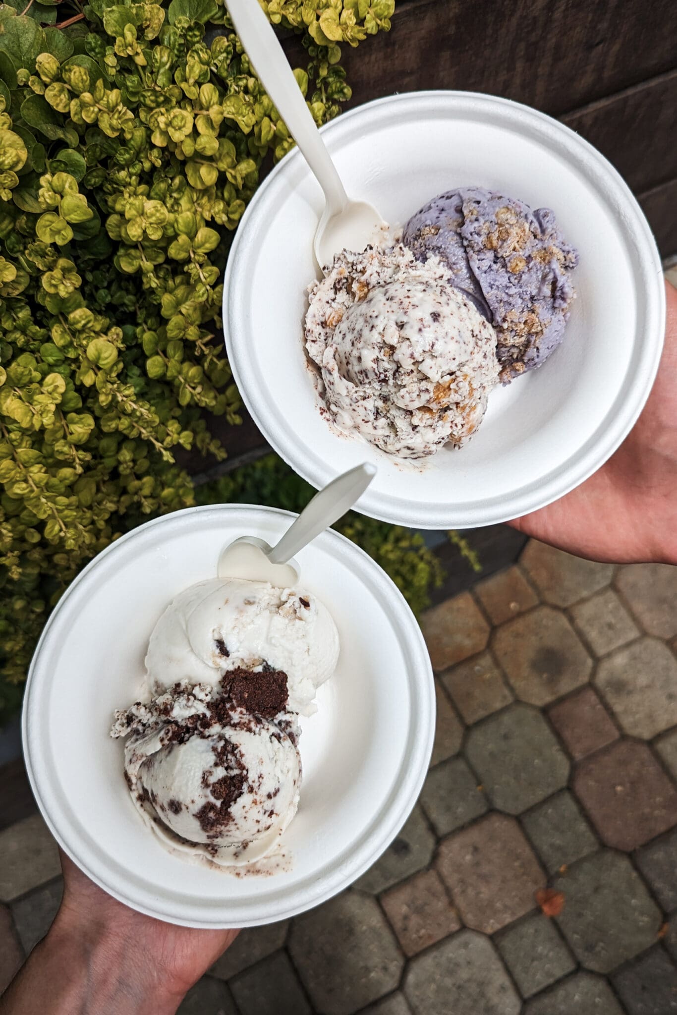 vegan ice cream in bowls 