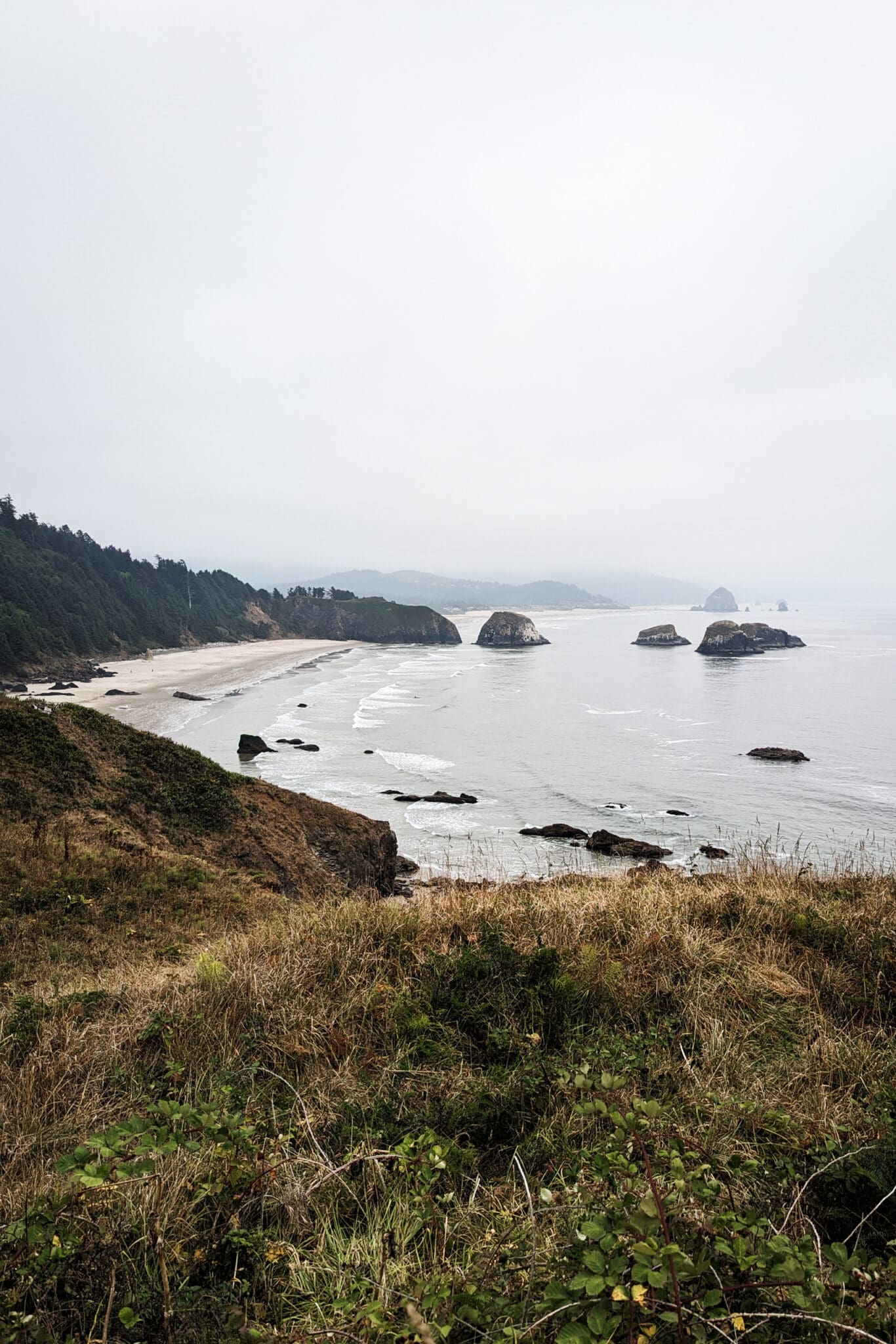 View of the ocean in Ecola State Park