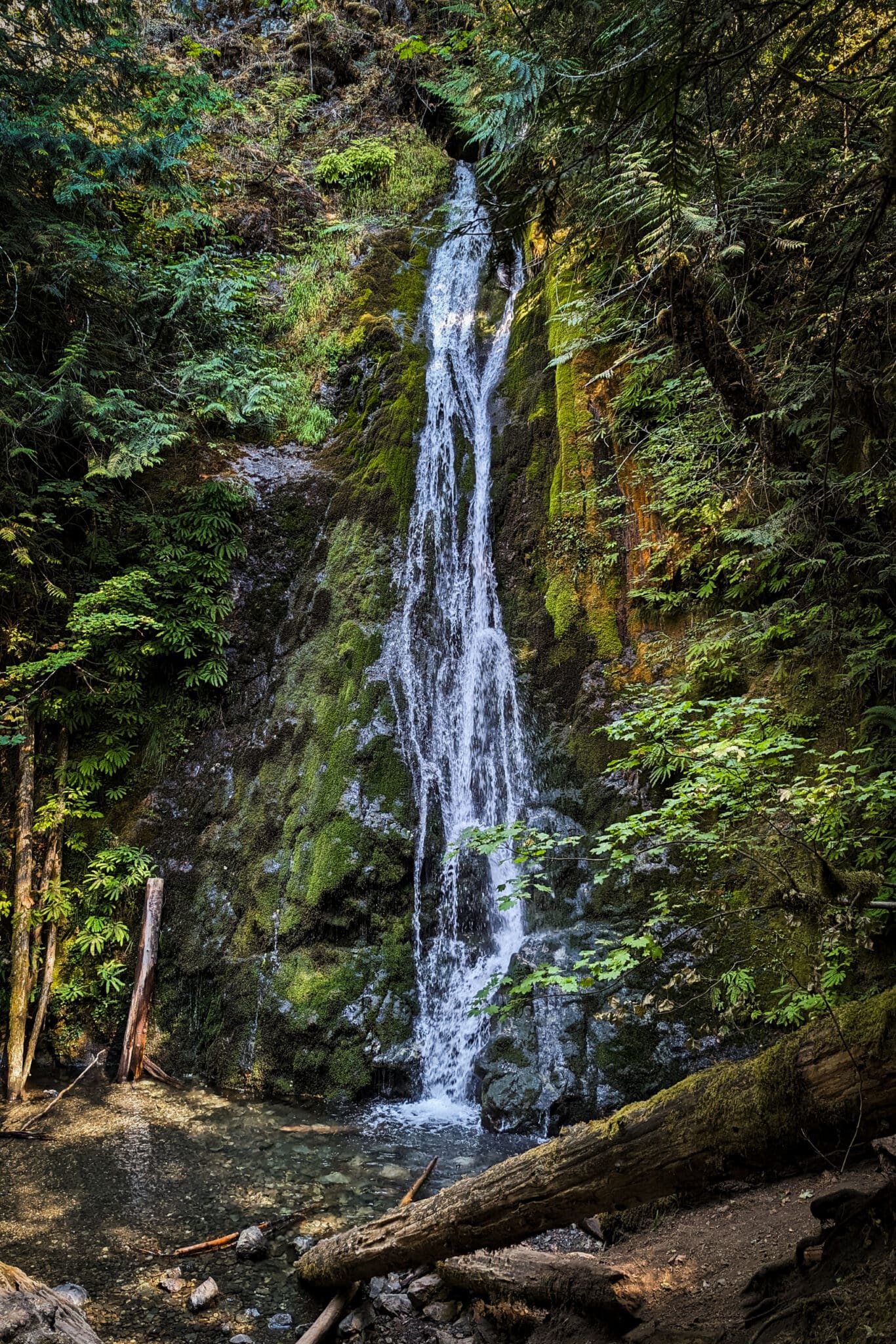 View of a waterfall surrounded by moss