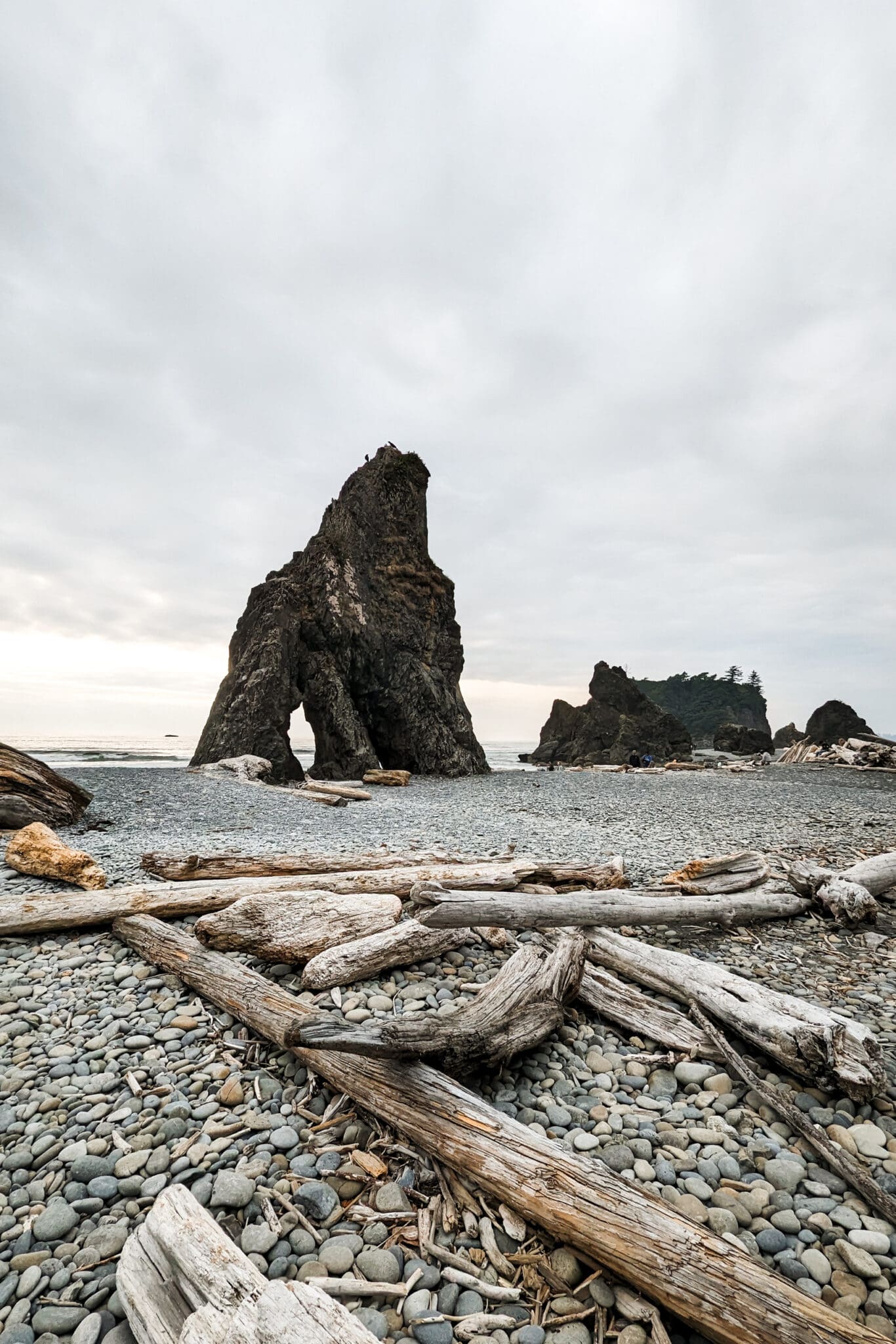 Large rocks and driftwood on Ruby Beach