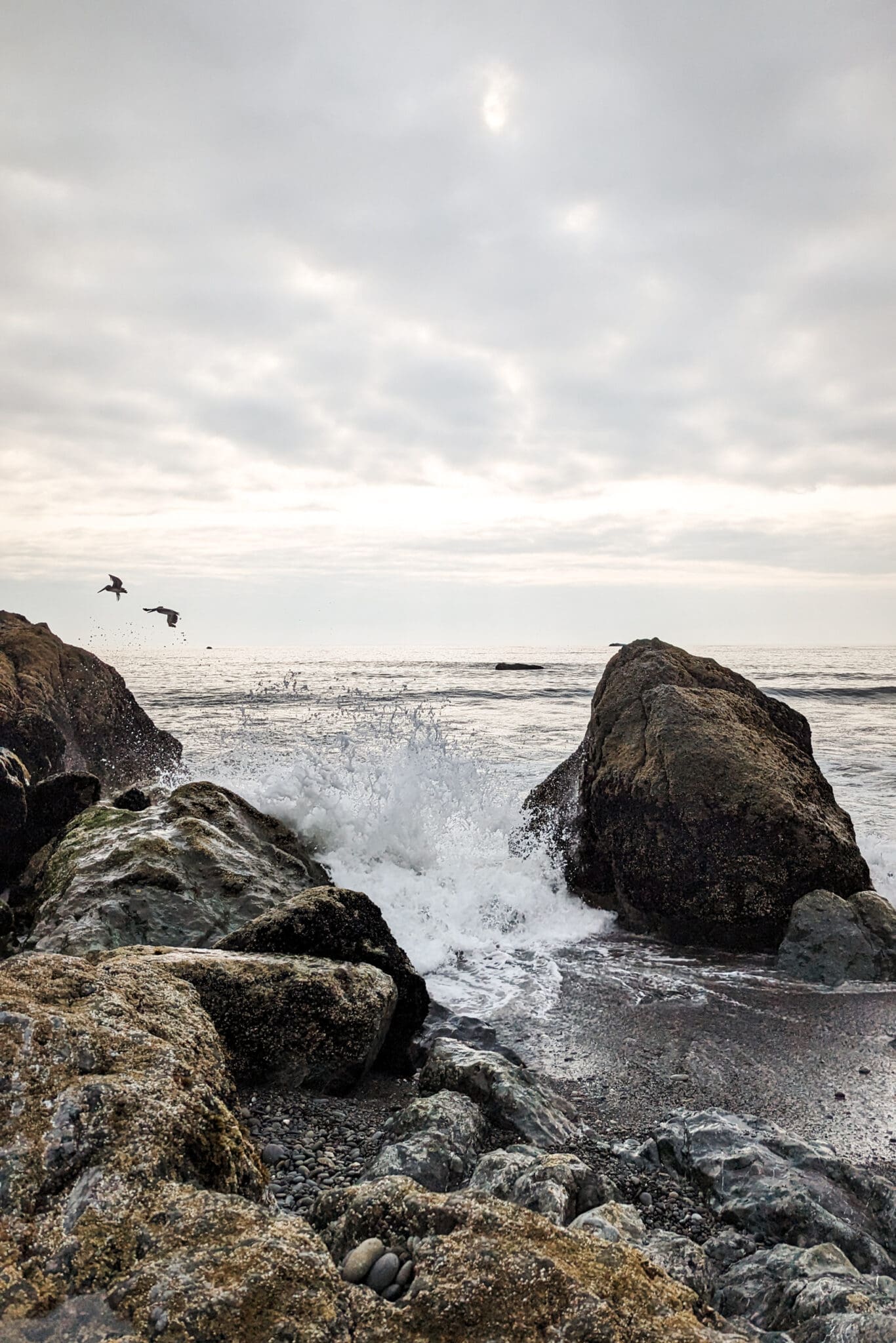 Waves crashing on rocks with pelicans flying